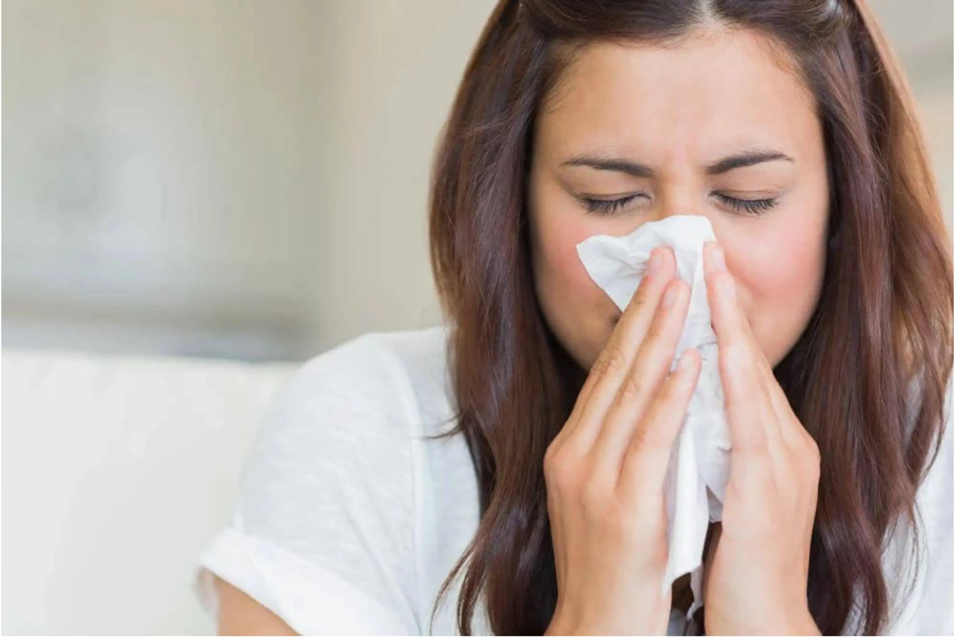 blocked nose dust mite allergy