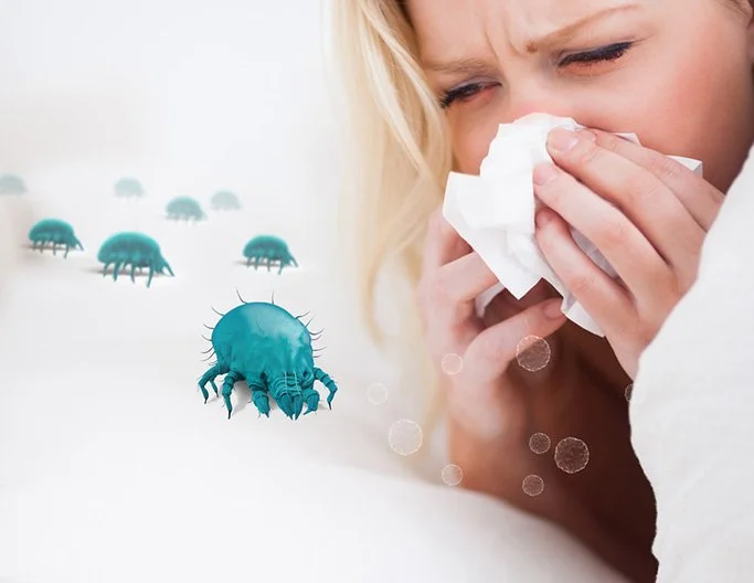 cold-vs-allergy-the-differences-1