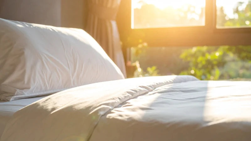 Pourquoi la poussière déclenche des allergies