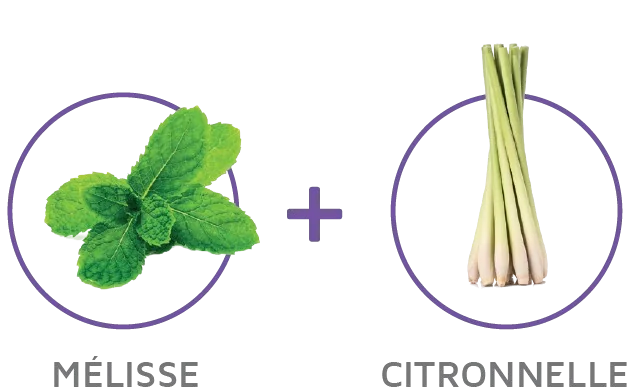Fait à partir de mélisse et de citronnelle